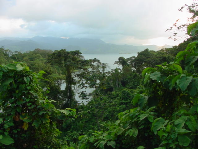 Costa Rica Rain Forests