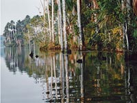 Peru Sandoval Lake Landscape